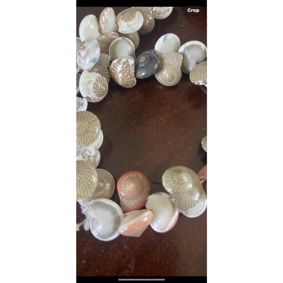 Seashell Necklace 28”Tiny Sundial & Nutmeg Shells No clasp - Picture 6 of 7